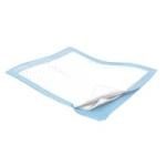 Product Photo: UNDERPADS 10/10'S 100 EA/CS 10/BG 10BGS/CS
